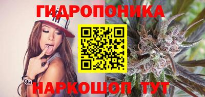 каннабис Новодвинск
