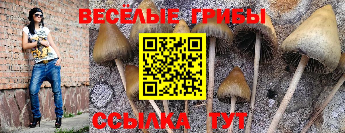 Галлюциногенные грибы ЛСД Уварово